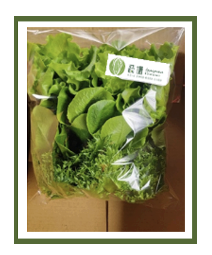 Small pack of Lettuce (150g)